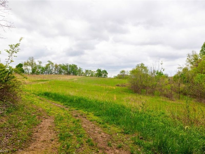 53320 County Road 425 , Fresno, OH 43824 Photo 22