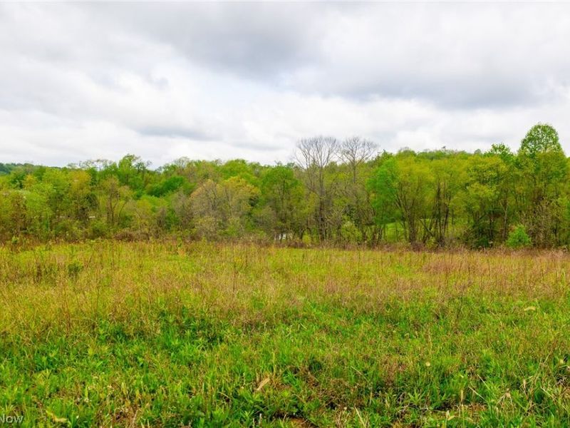 53320 County Road 425 , Fresno, OH 43824 Photo 4
