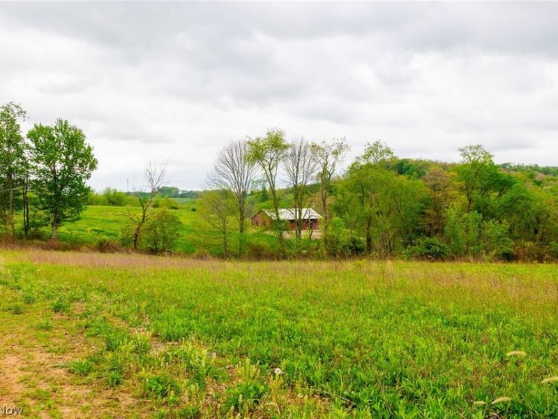 53320 County Road 425 , Fresno, OH 43824 Photo 6
