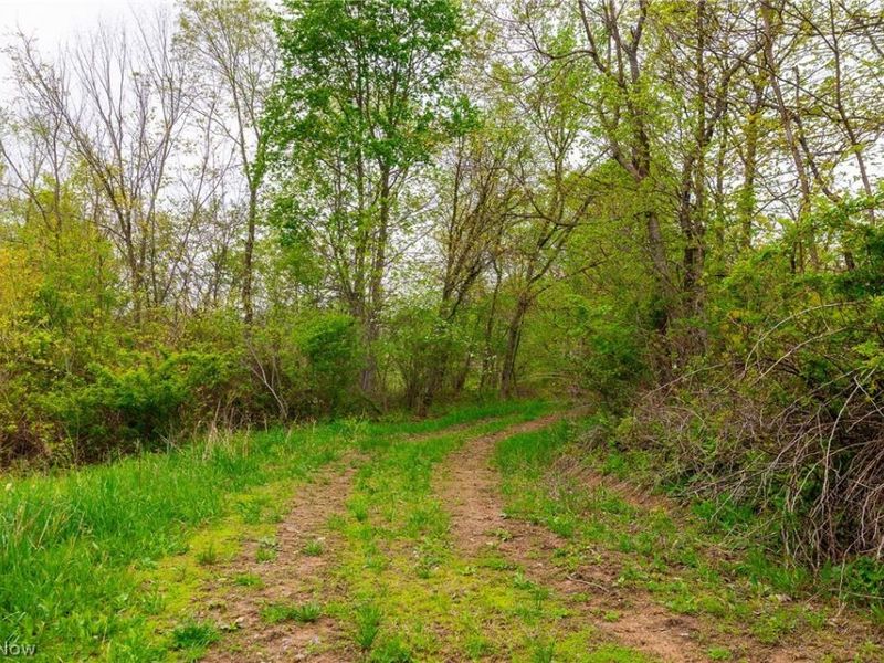 53320 County Road 425 , Fresno, OH 43824 Photo 7