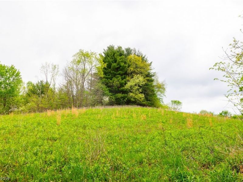 53320 County Road 425 , Fresno, OH 43824 Photo 8