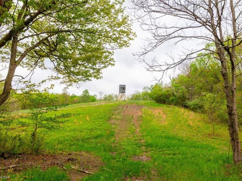 53320 County Road 425 , Fresno, OH 43824 Photo 9