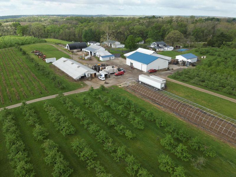 9319 Wesler Road, New Paris, OH 45347 Photo 10