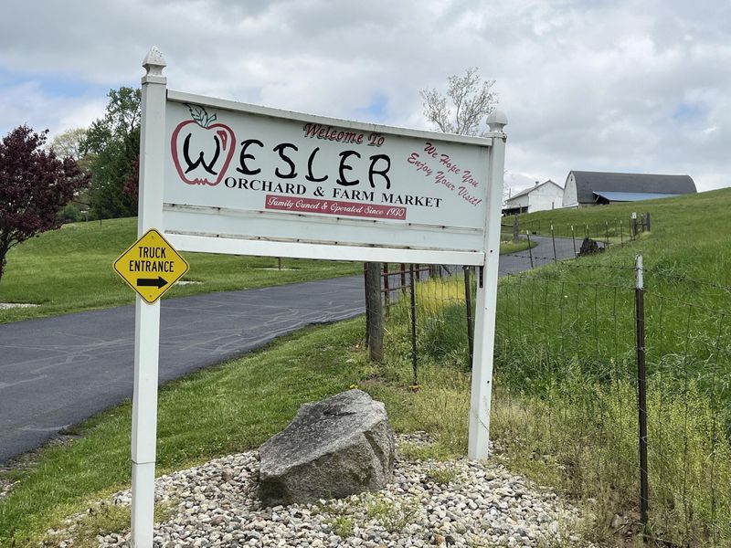 9319 Wesler Road, New Paris, OH 45347 Photo 98