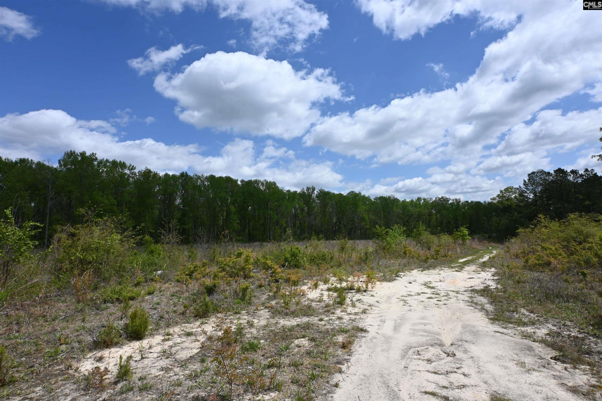 0 Platt Springs Road  Photo 10