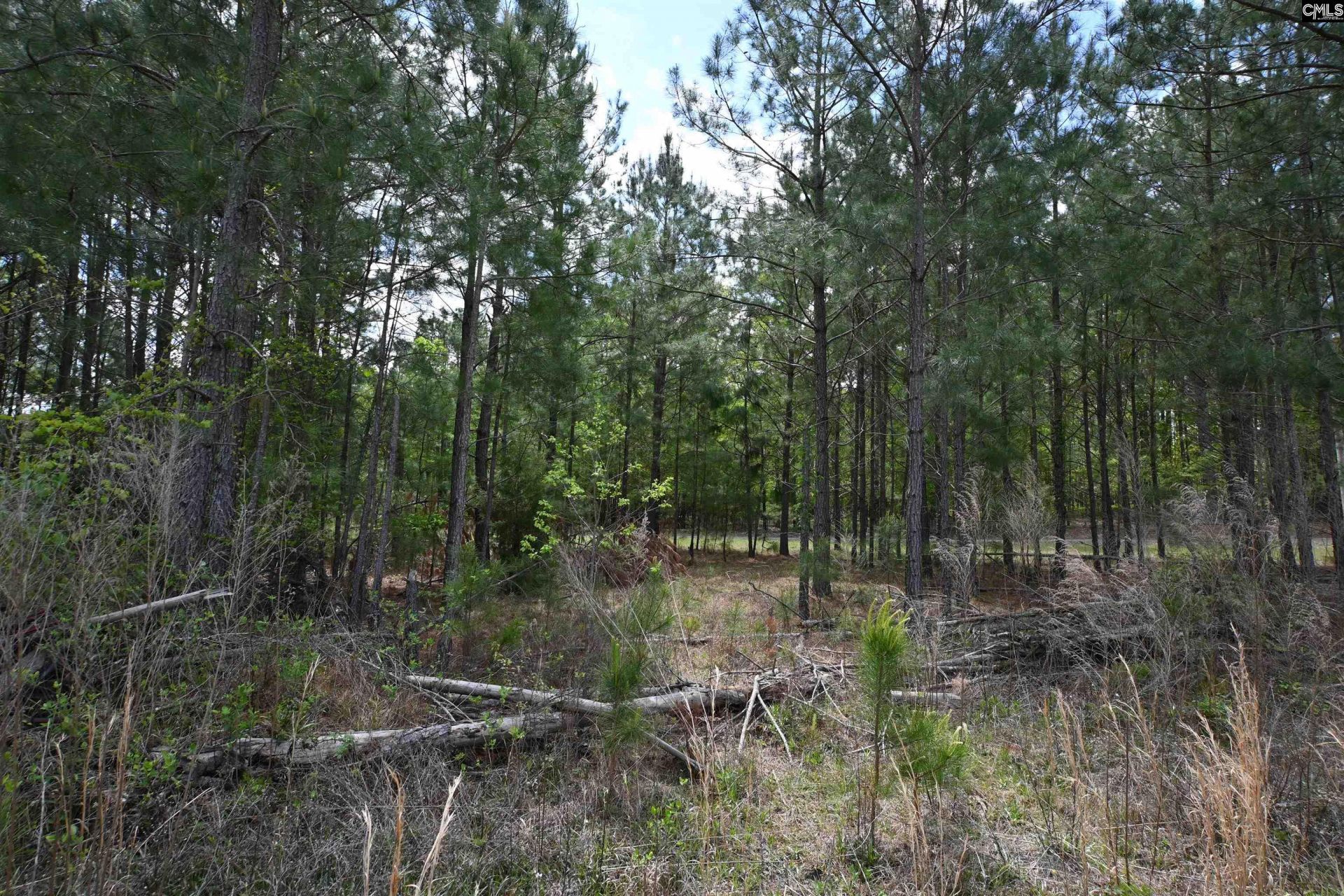 0 Platt Springs Road  Photo 11