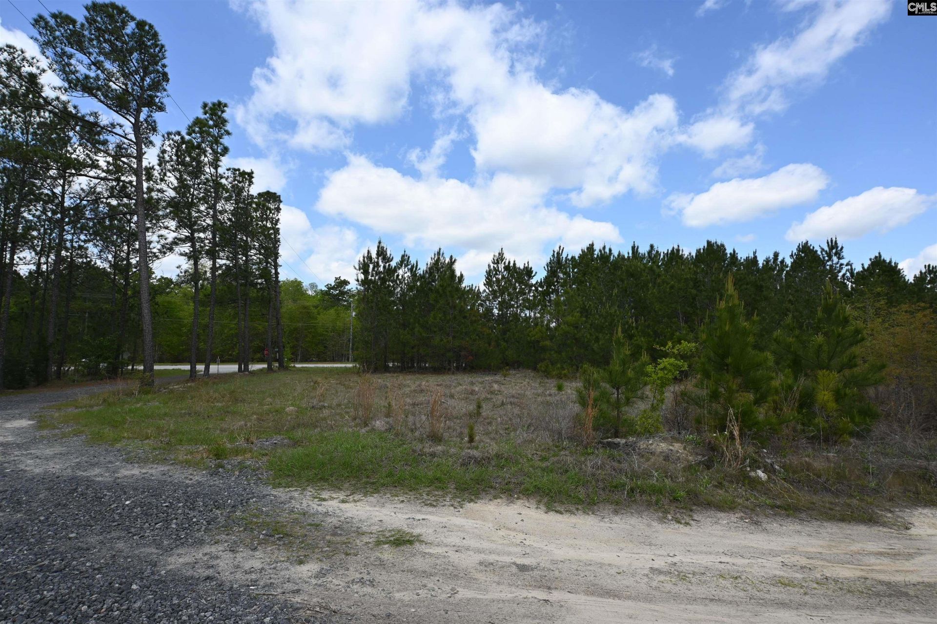 0 Platt Springs Road  Photo 12