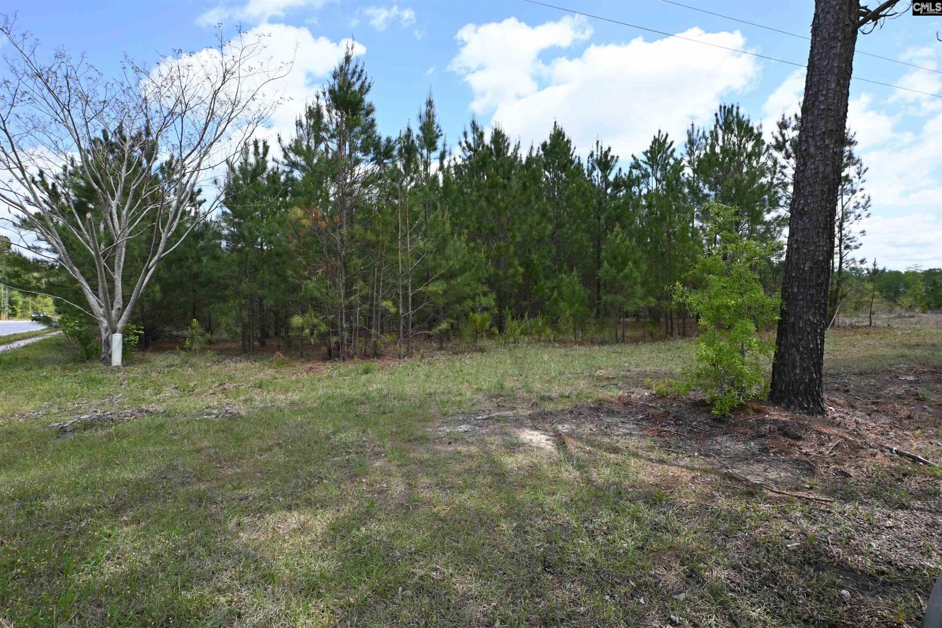 0 Platt Springs Road  Photo 13