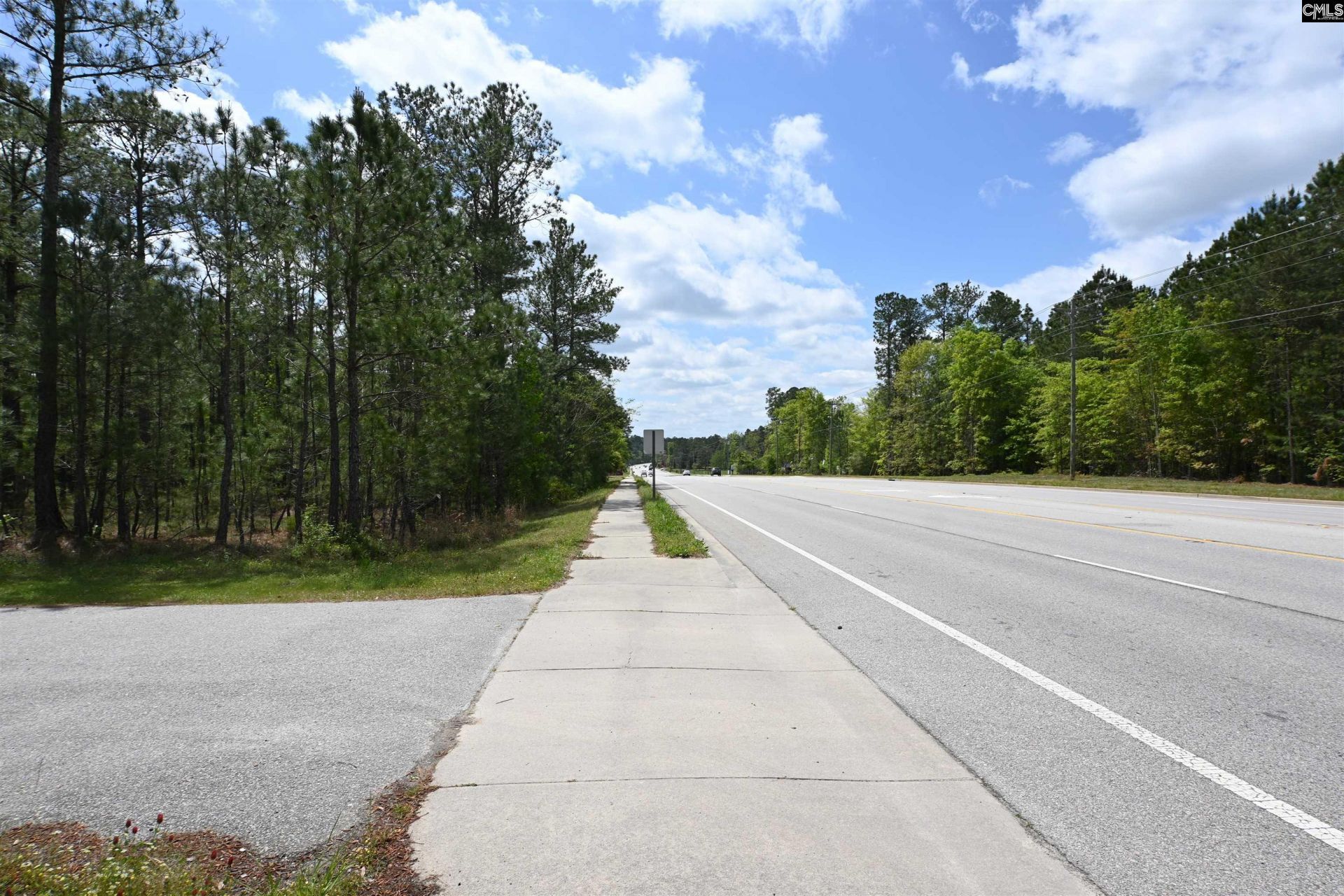 0 Platt Springs Road  Photo 19