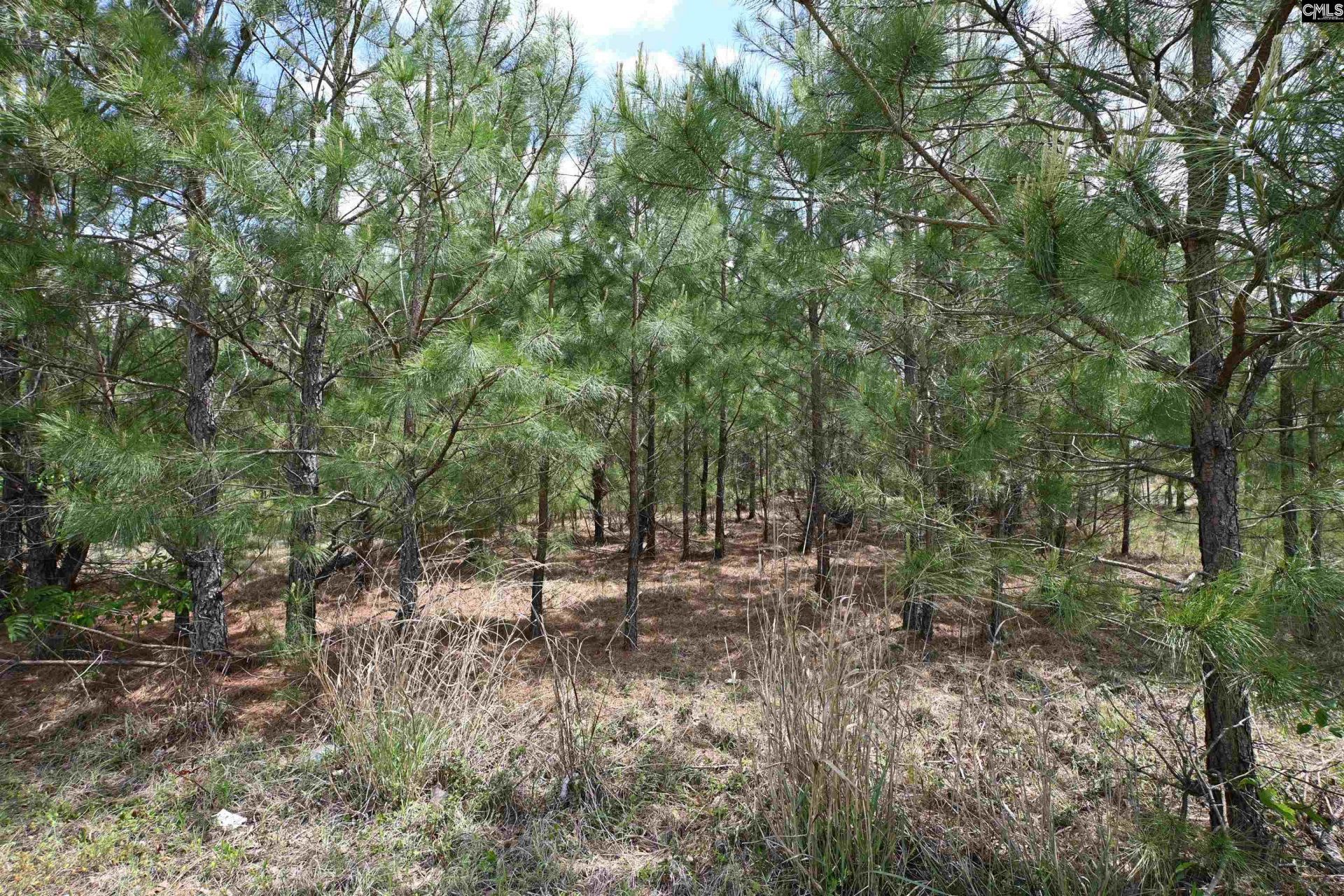 0 Platt Springs Road  Photo 20