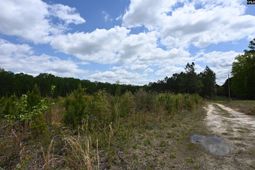 0 Platt Springs Road  photo 4