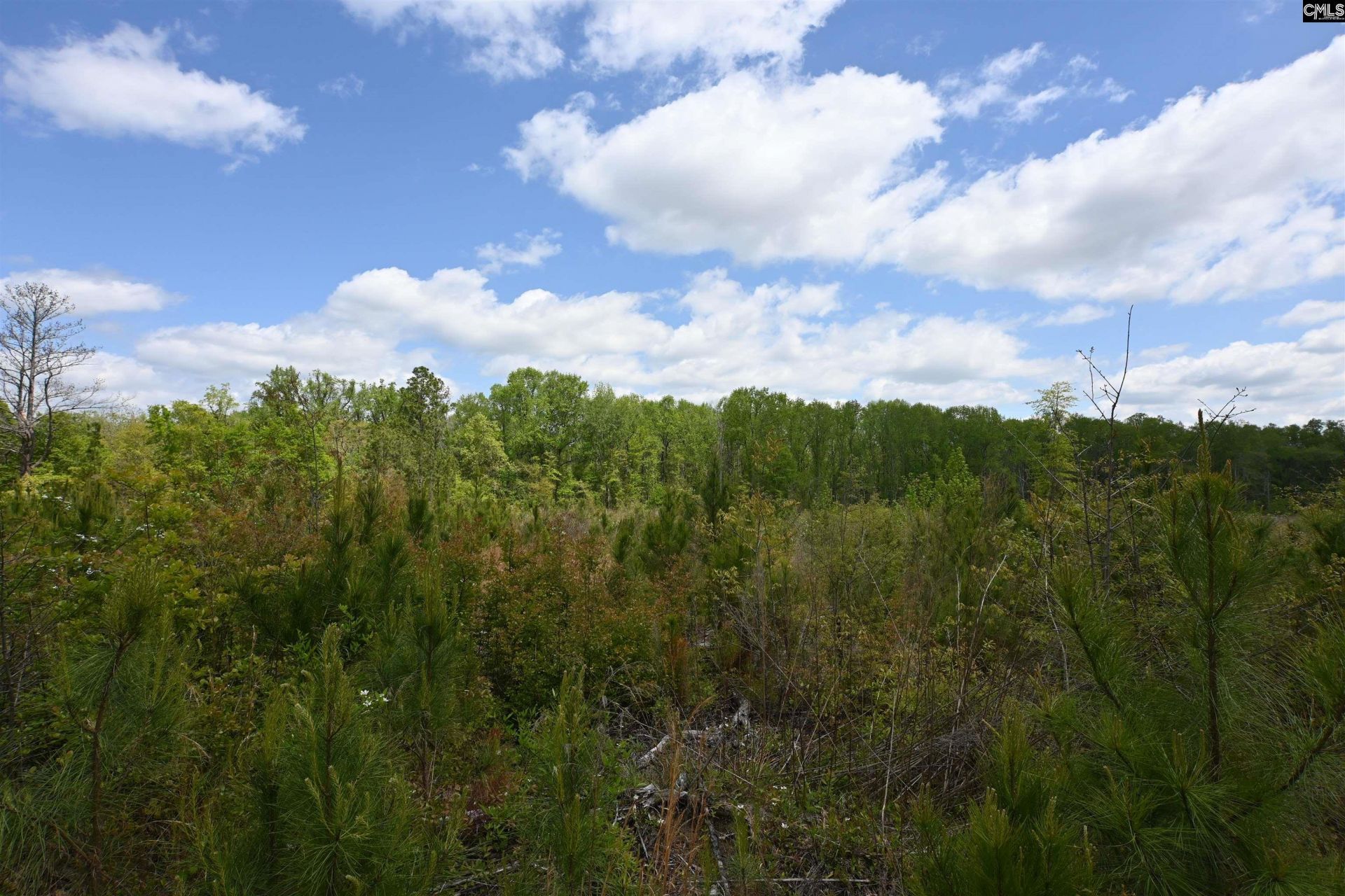 0 Platt Springs Road  Photo 5
