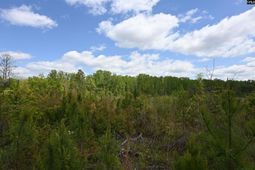 0 Platt Springs Road  photo 4