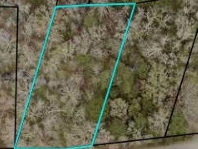 TBD McKenzie Circle , Pawleys Island, SC 29585