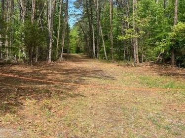 0 0 CARTERS GATE ROAD , RUTHER GLEN, VA 22546