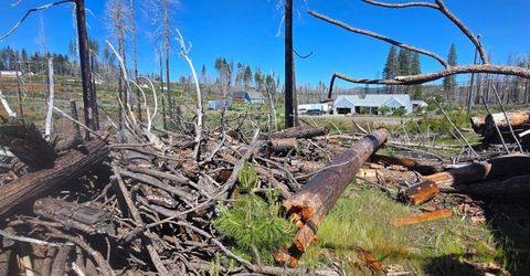 5205 Golden Aspen Dr, Grizzly Flats, CA 95636 Photo