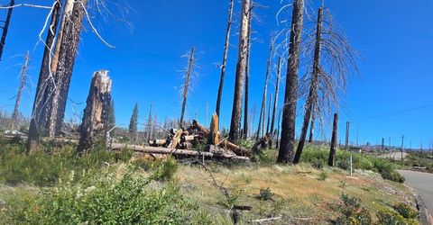 5205 Golden Aspen Dr, Grizzly Flats, CA 95636 Photo