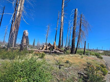 5205 Golden Aspen Dr, Grizzly Flats, CA 95636 Photo