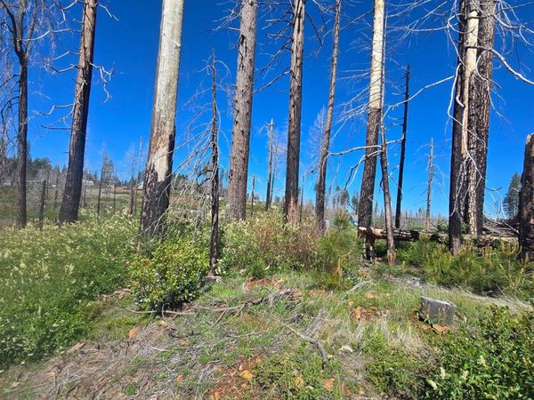 5217 Golden Aspen, Grizzly Flats, CA 95636