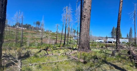 5217 Golden Aspen, Grizzly Flats, CA 95636 Photo