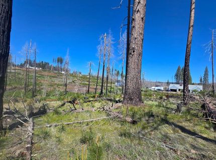 5217 Golden Aspen, Grizzly Flats, CA 95636 Photo