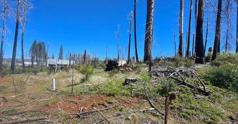 5217 Golden Aspen, Grizzly Flats, CA 95636 Photo