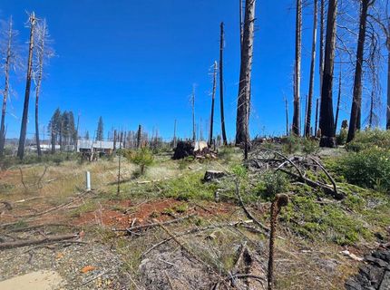 5217 Golden Aspen, Grizzly Flats, CA 95636 Photo