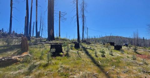 5217 Golden Aspen, Grizzly Flats, CA 95636 Photo