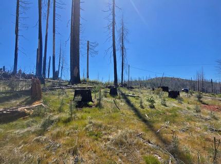 5217 Golden Aspen, Grizzly Flats, CA 95636 Photo