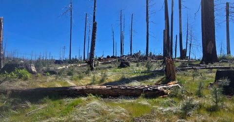 5217 Golden Aspen, Grizzly Flats, CA 95636 Photo