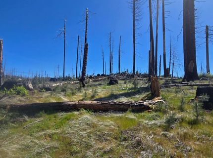 5217 Golden Aspen, Grizzly Flats, CA 95636 Photo