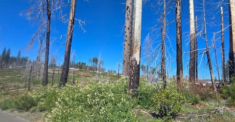 5217 Golden Aspen, Grizzly Flats, CA 95636 Photo