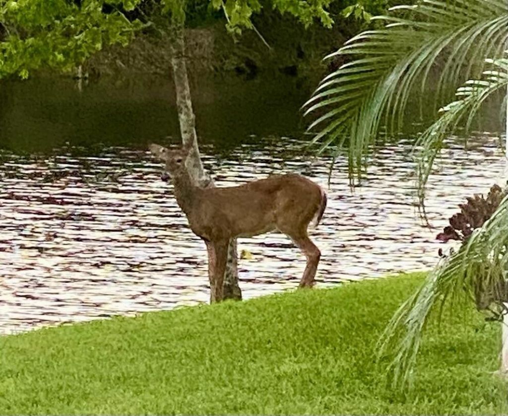 19189 Tamara Lane, Jupiter, FL 33458 Photo