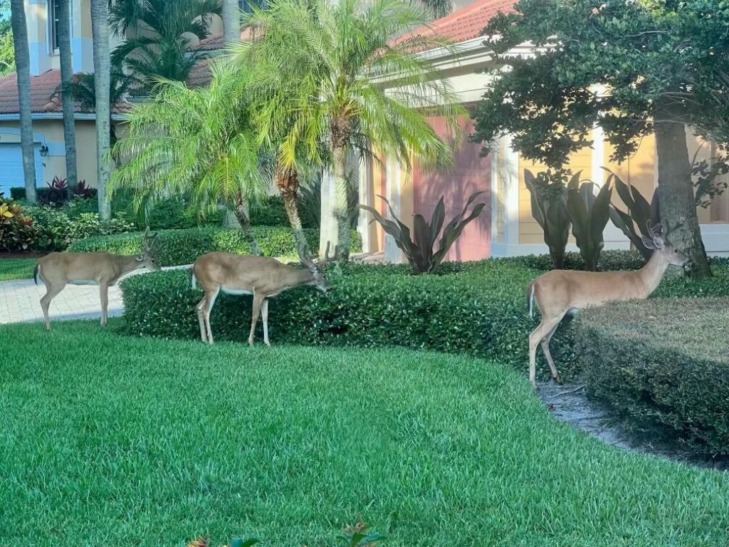 19189 Tamara Lane, Jupiter, FL 33458 Photo