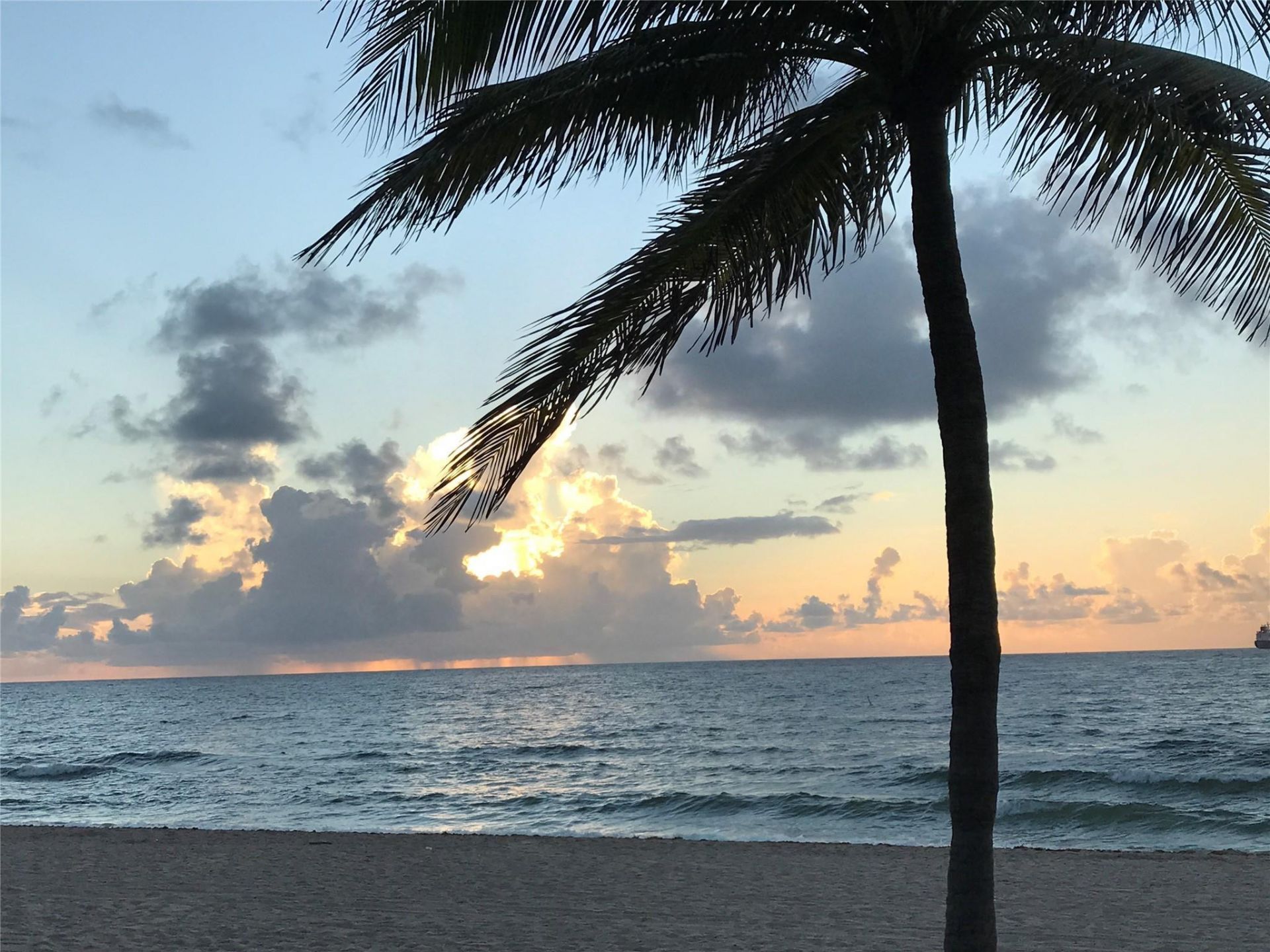333 Sunset Drive, Unit 503, Fort Lauderdale, FL 33301 Photo