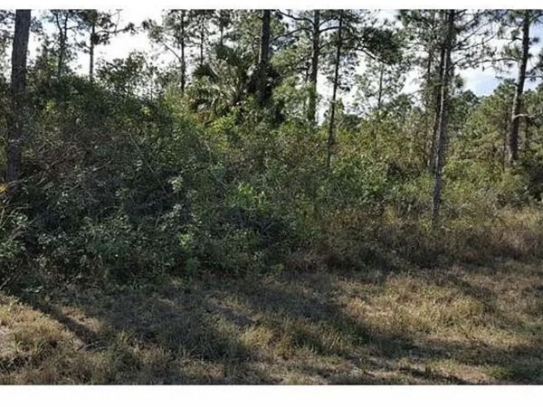 1042 Summa Boulevard, Lehigh Acres, FL 33974