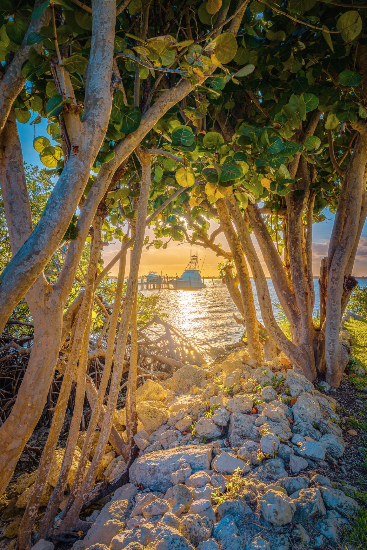 1436 NE Ocean Boulevard, Stuart, FL 34996 Photo