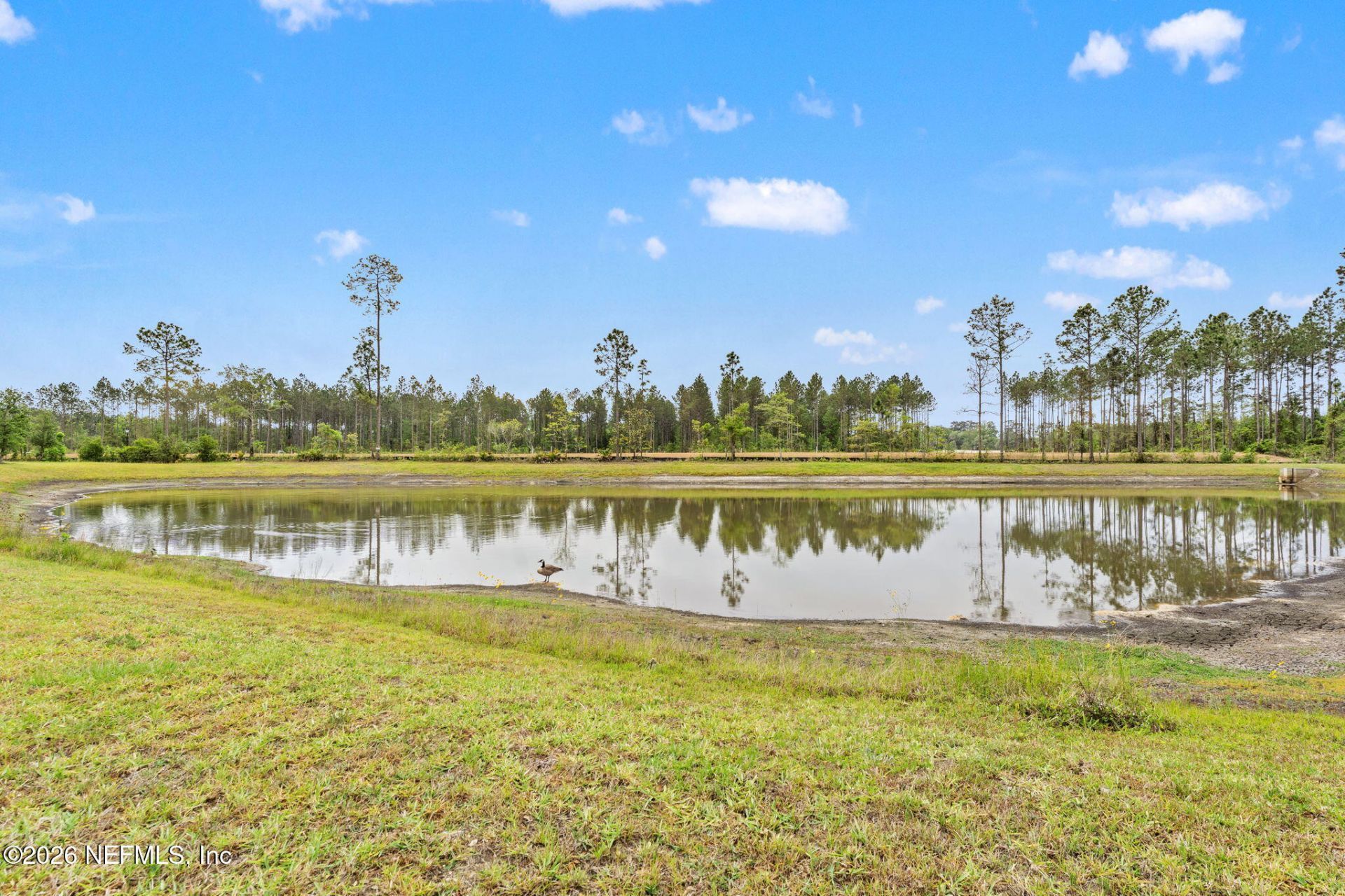 15692 Stedman Lake Drive, Jacksonville, FL 32218 Photo