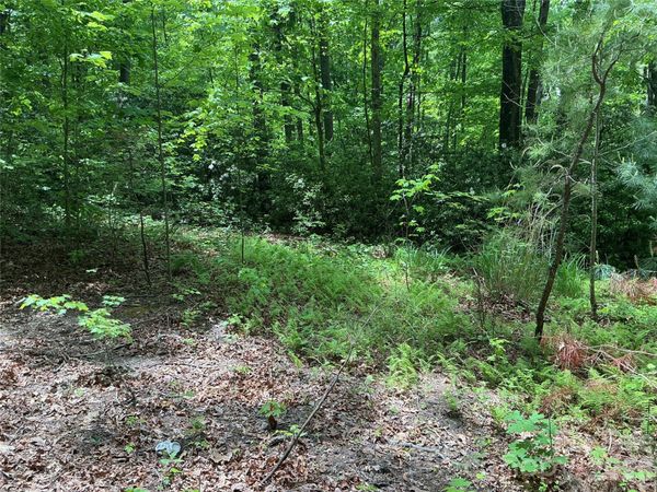 00 Green River Cove Road , Saluda, NC 28773