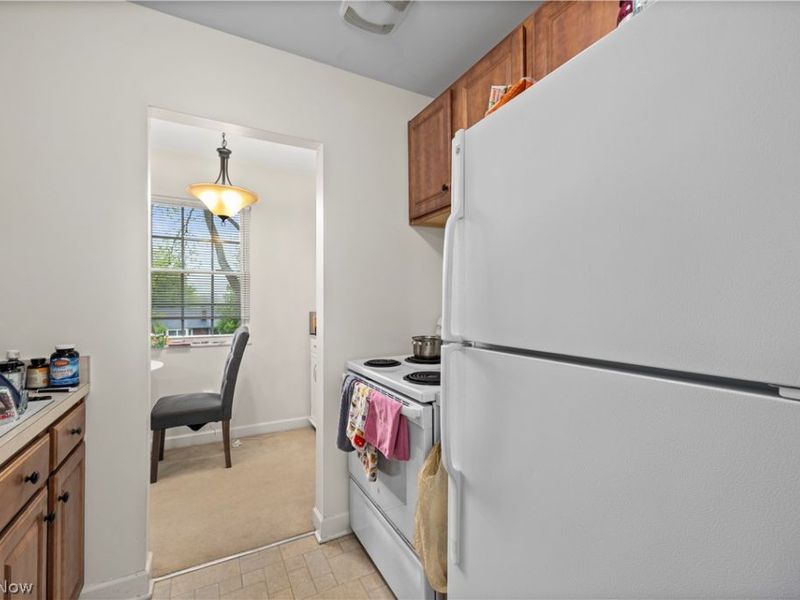 2885 Pease Drive , Unit 303, Rocky River, OH 44116 Photo 15