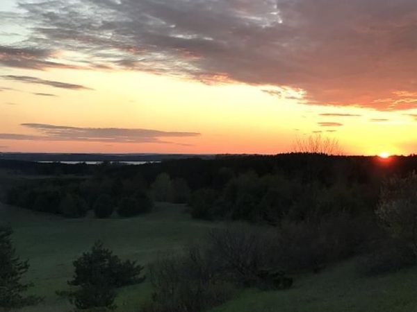 11 McPherson Road, Alden, MI 49612