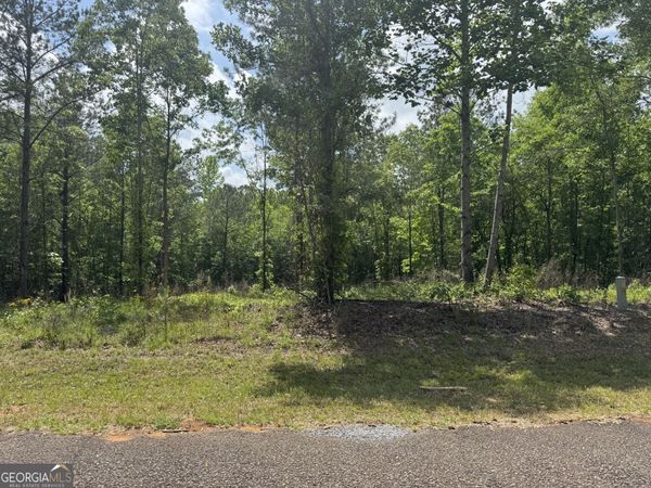 0 County Road 865, Roanoke, AL 36274