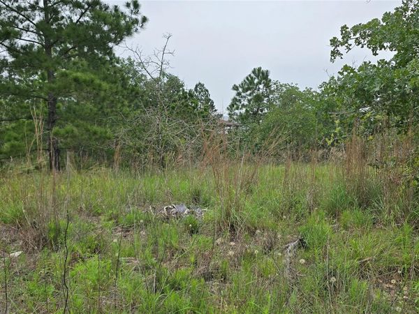 TBD (Lot 1195) Koolua DR, Bastrop, TX 78602