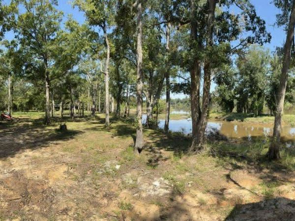 0 Eagles Point, Unit LOT 12, Surrency, GA 31563