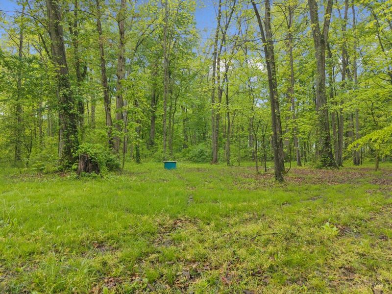 582 Nauvoo Road, Vernon Twp, OH 45113 Photo 12