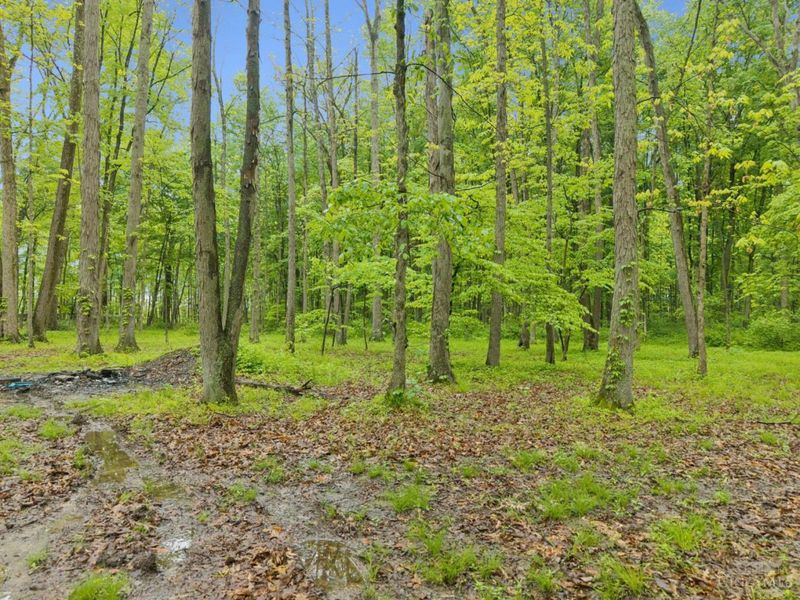 582 Nauvoo Road, Vernon Twp, OH 45113 Photo 13