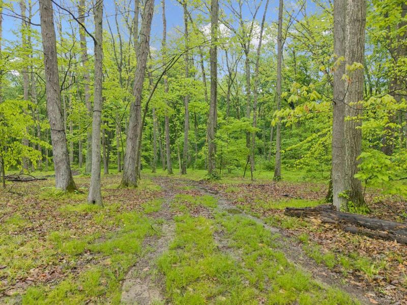 582 Nauvoo Road, Vernon Twp, OH 45113 Photo 9