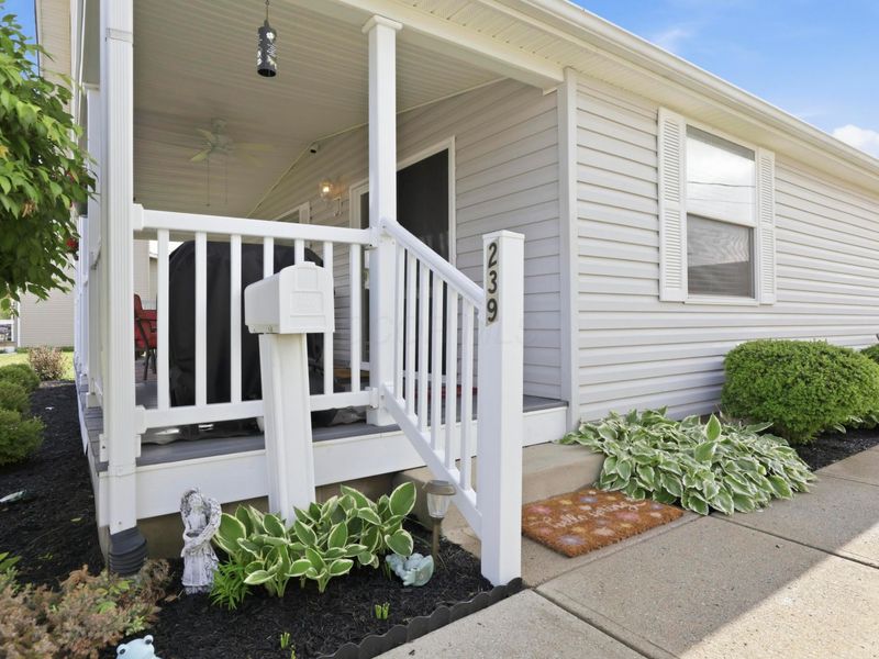 239 Scioto Street, Ashville, OH 43103 Photo 8