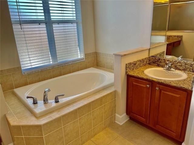 9654 Jasmine Brook Circle, Land O Lakes, FL 34638 Photo