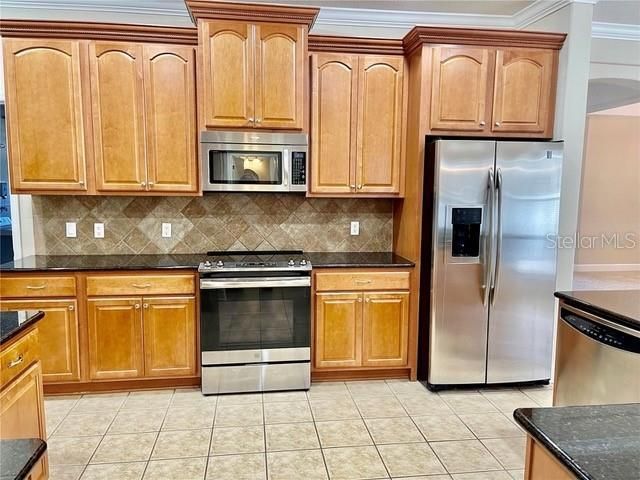 9654 Jasmine Brook Circle, Land O Lakes, FL 34638 Photo